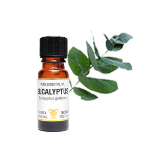 Eukalyptus essensiell olje 10ml
