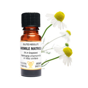 chamomile oil for soapnut laundry chamomile oil for soapnut laundry