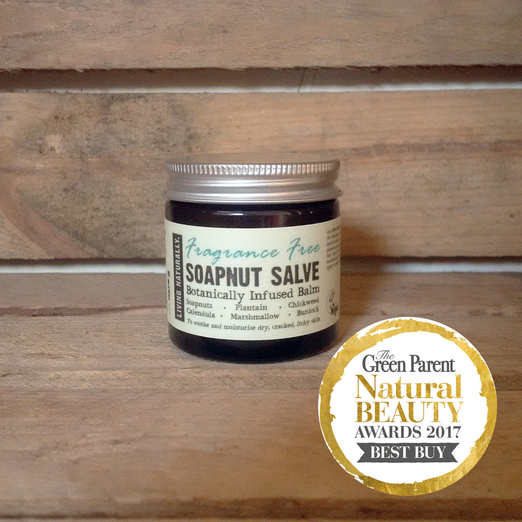 Fragrance Free Healing Soapnut Salve 60ml Living Naturally