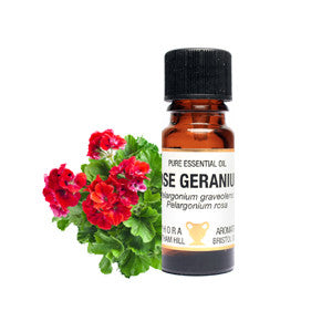 Geranium hot sale rose oil