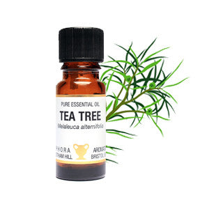 tea tree essential oil for soapnut laundry