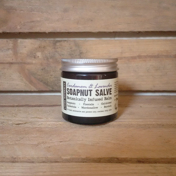 award-winning skincare vegan organic preservative free healing salve with organic soapnut extract and wildcrafted botanic herbs